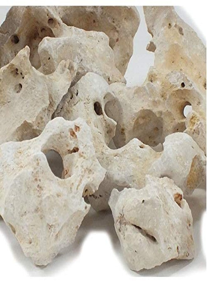 حجر زينة أبيض طبيعي من VAYINATO® لأحواض أسماك الزينة البحرية وأسماك الشيهيليد (3 كجم) من Petzlifeworld - Image 5